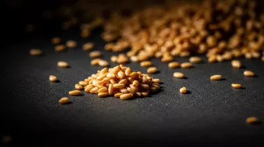 garnishing-instructions-image